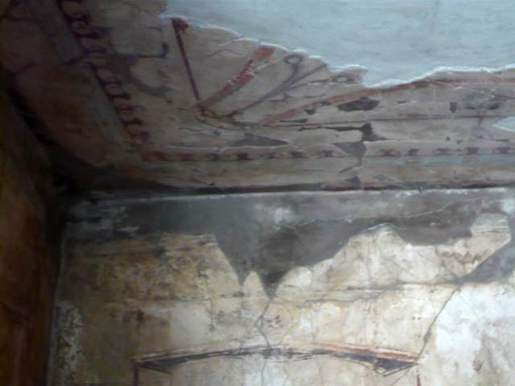 VI.13 Herculaneum. August 2013. Cubiculum 12, recomposed ceiling and upper west wall.  Photo courtesy of Buzz Ferebee.