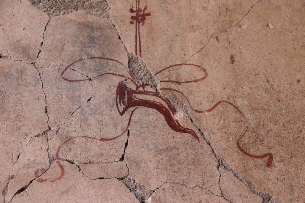 VI.13 Herculaneum. October 2020. Detail of painted decoration on east wall of corridor. Photo courtesy of Klaus Heese. 