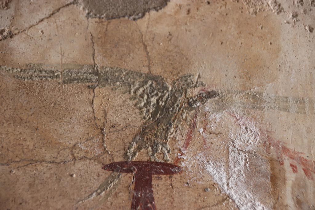 VI.13/11, Herculaneum. October 2022. Painted detail from corridor walls. Photo courtesy of Klaus Heese.

