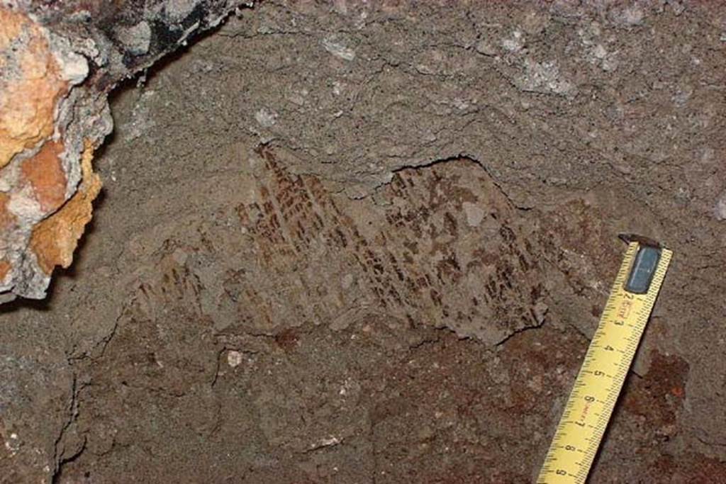 VI.15, Herculaneum. April 2002. Board debris found. Photo courtesy of Nicolas Monteix.