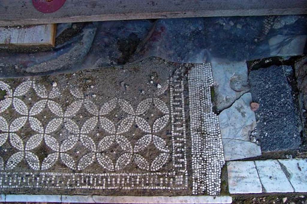 VI.17, Herculaneum. February 2003. Flooring. Photo courtesy of Nicolas Monteix.