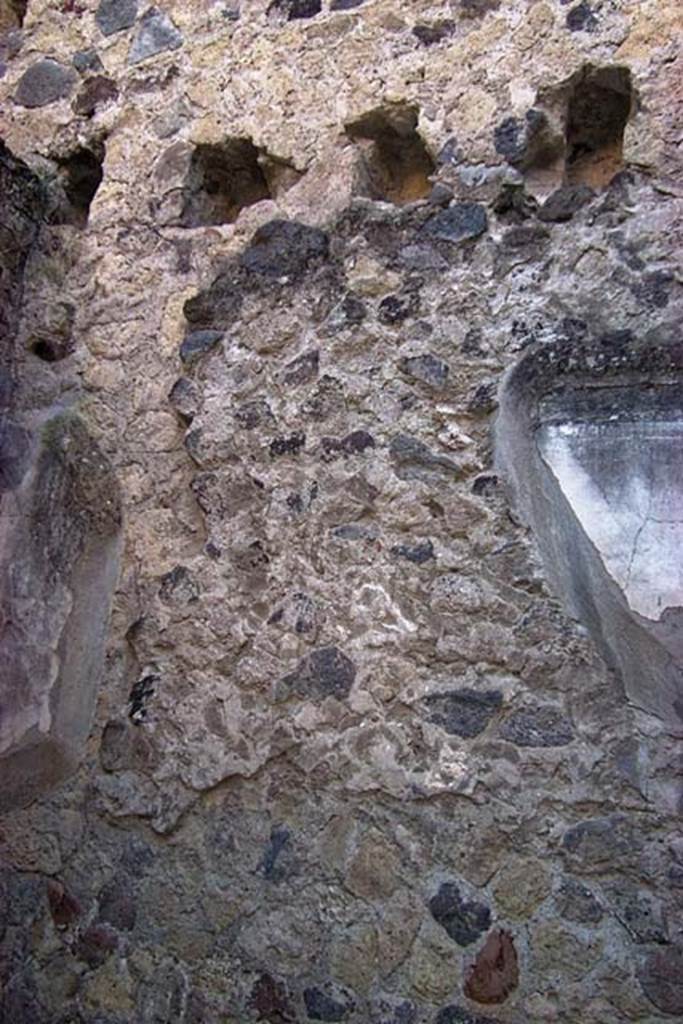 VI.17, Herculaneum. February 2003. Detail from south wall of cubiculum. 
Photo courtesy of Nicolas Monteix.

