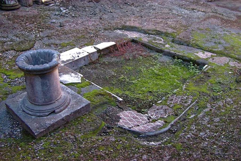 VI.17, Herculaneum. February 2003. Looking north-west across impluvium in atrium. 
Photo courtesy of Nicolas Monteix.
