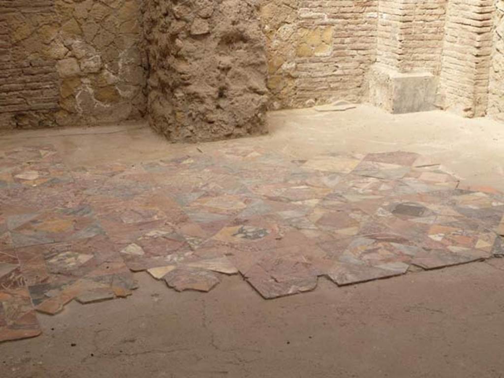 VI.21 Herculaneum. August 2013. Looking south across Opus signinum flooring. 
Photo courtesy of Buzz Ferebee.
