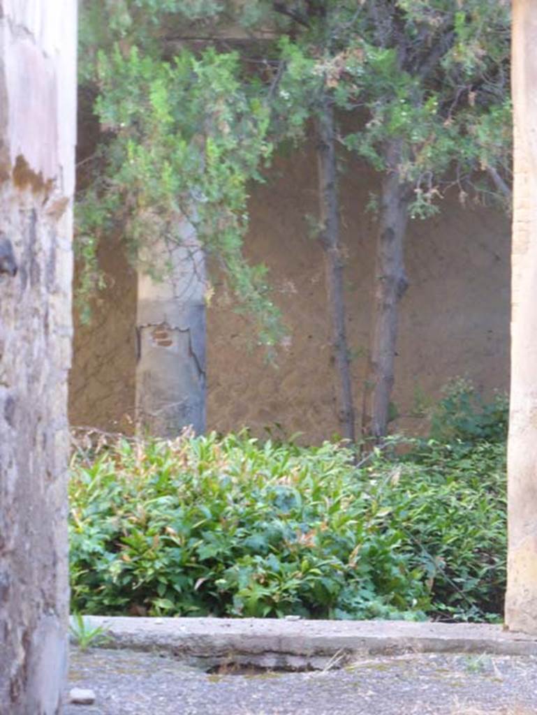 VI 26 Herculaneum, September 2015. Looking towards peristyle from rear corridor.

