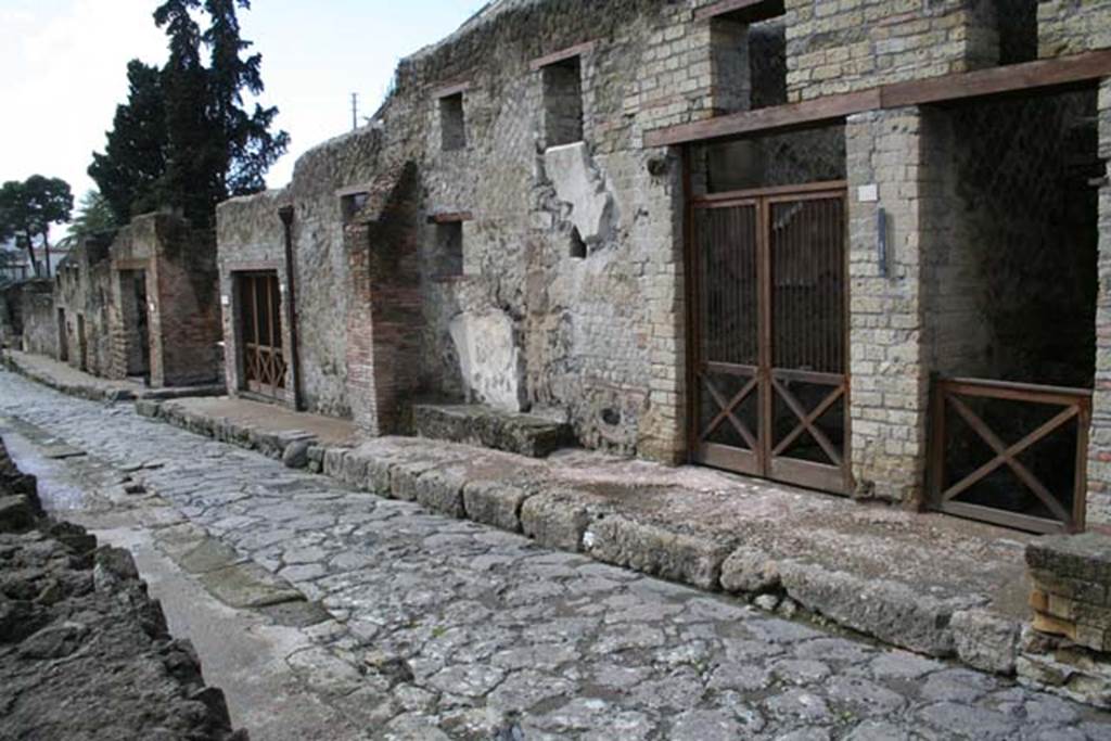 VII.1, VII, 2, centre right, and VII.3, on right, March 2008. 
Looking south along west side of Cardo III, described by Waldstein as “sea street”.
Photo courtesy of Sera Baker.

