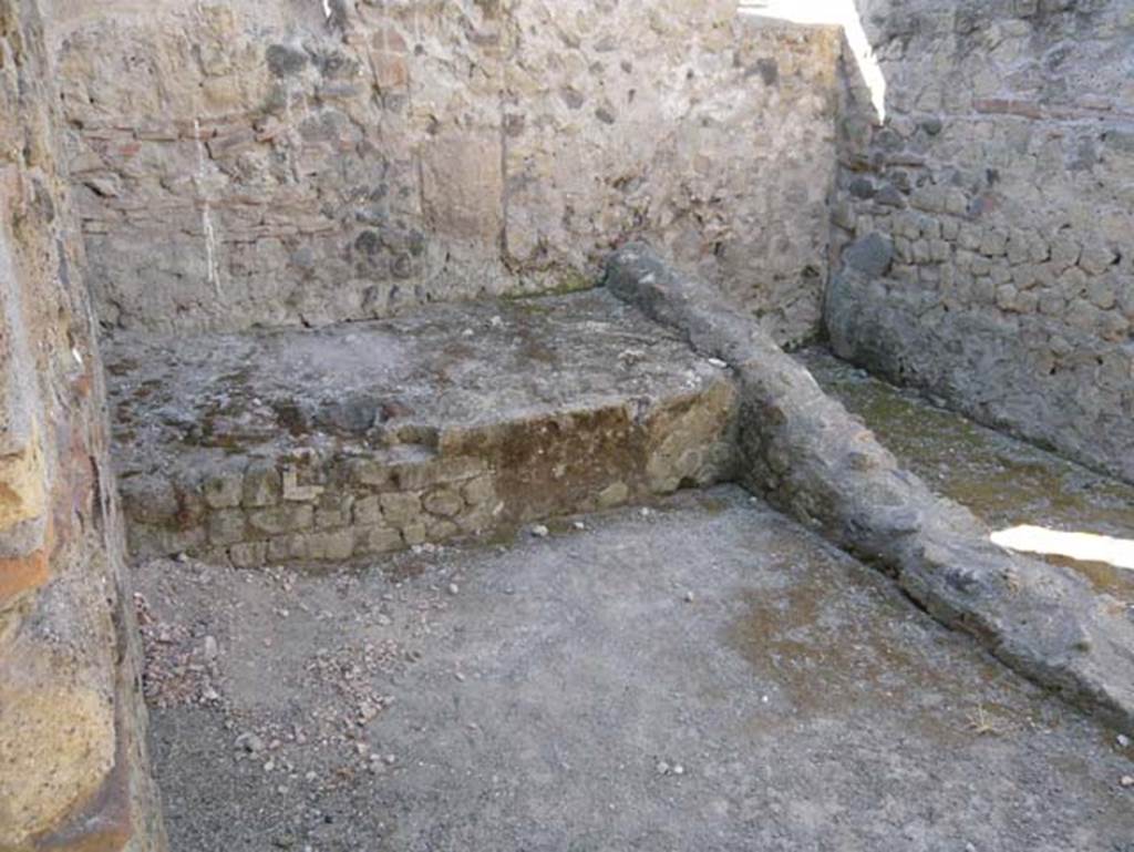 VII.2 Herculaneum. August 2013.
Photo courtesy of Buzz Ferebee.
