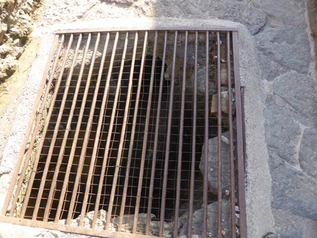 Cardo III Superiore, Herculaneum, September 2015. Drain in road. 