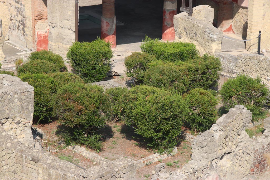 Ins. Or. I.1, Herculaneum. October 2023. 
Looking north-west across garden area towards doorway into atrium, with room 5, top right. Photo courtesy of Klaus Heese.

