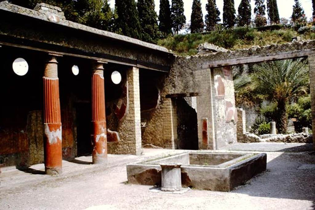 Ins. Or.I.2, Herculaneum, 1964. Looking across impluvium in atrium towards tablinum and garden area. Photo by Stanley A. Jashemski.
Source: The Wilhelmina and Stanley A. Jashemski archive in the University of Maryland Library, Special Collections (See collection page) and made available under the Creative Commons Attribution-Non Commercial License v.4. See Licence and use details. J64f1429
