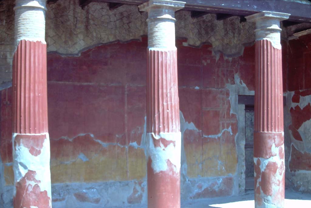 Ins. Or.I.2, Herculaneum. 7th August 1976. Looking towards north side of atrium.
Photo courtesy of Rick Bauer, from Dr George Fay’s slides collection.
