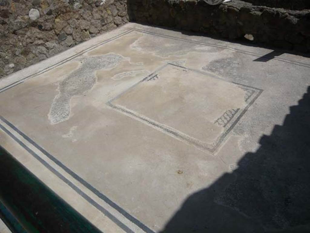 Ins. Or.I.2, Herculaneum. August 2013. Flooring in tablinum. Photo courtesy of Buzz Ferebee.  