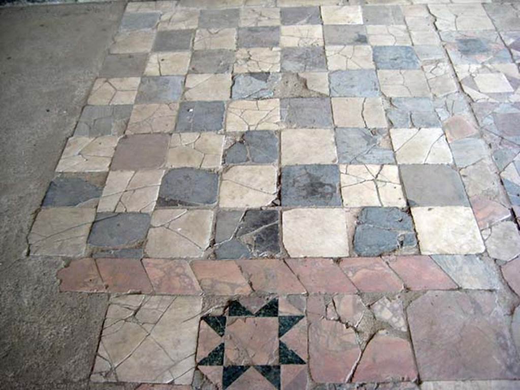 Ins. Or. 1. 2, Herculaneum. July 2009. Detail of opus sectile flooring in Marble Salon. 
Photo courtesy of Sera Baker.
