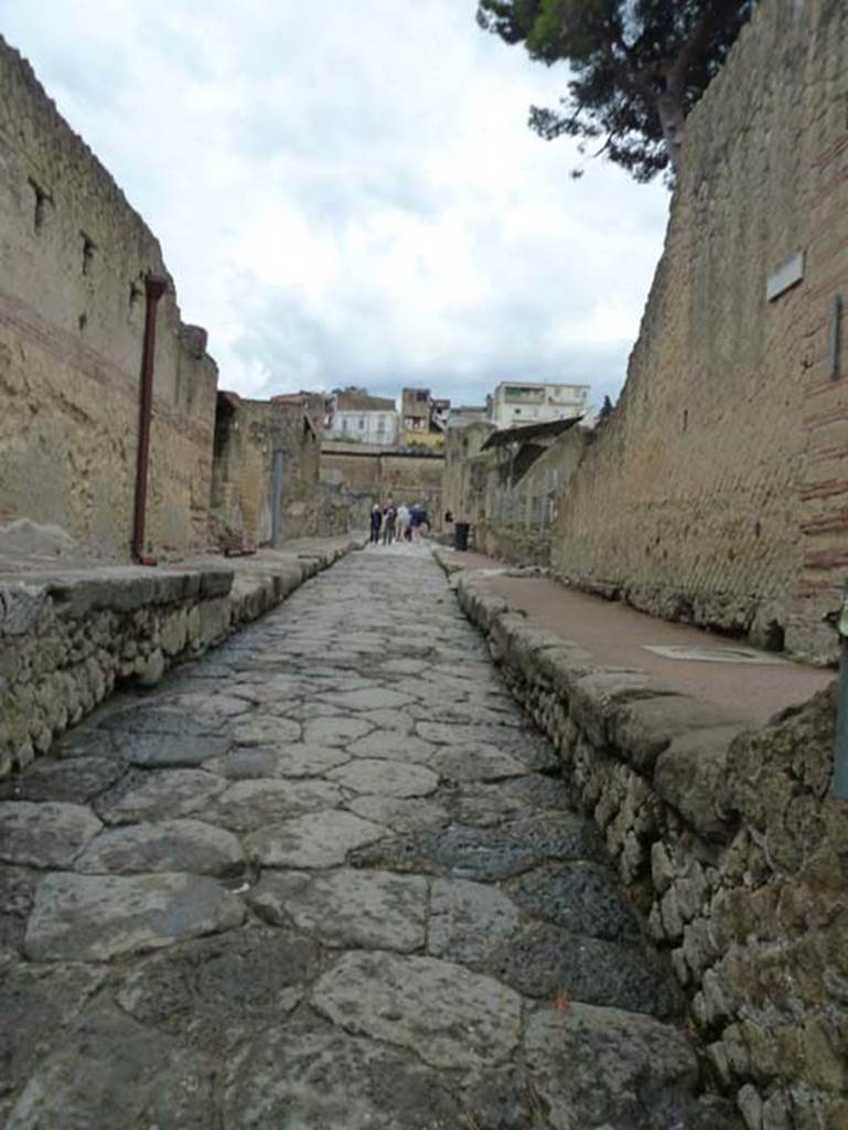 Cardo V Inferiore, Herculaneum, September 2015. Looking north from near Ins. Orientalis I, 2, on right.