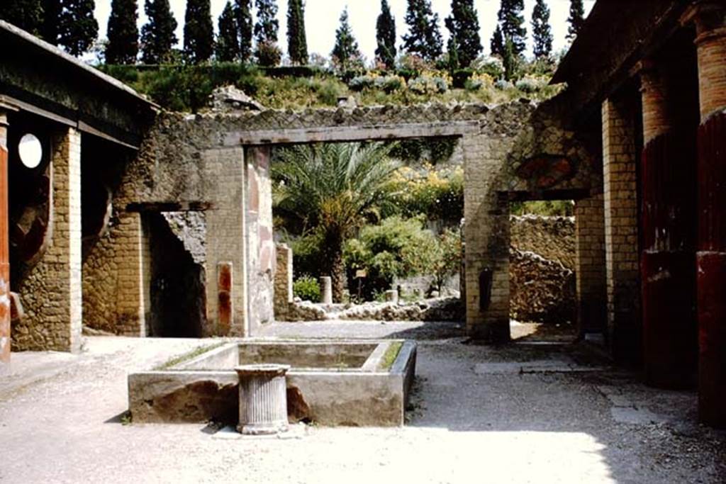 Ins. Or.1.2, Herculaneum, 1964. Looking east across atrium towards tablinum and garden area. Photo by Stanley A. Jashemski.
Source: The Wilhelmina and Stanley A. Jashemski archive in the University of Maryland Library, Special Collections (See collection page) and made available under the Creative Commons Attribution-Non Commercial License v.4. See Licence and use details. J64f1430
