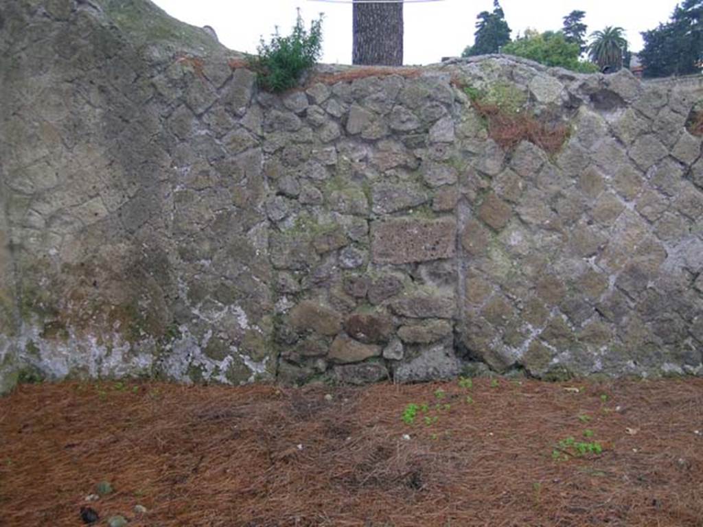 Ins. Or. II, 1, Herculaneum. December 2008. Detail from south wall of shop-room. Photo courtesy of Nicolas Monteix.