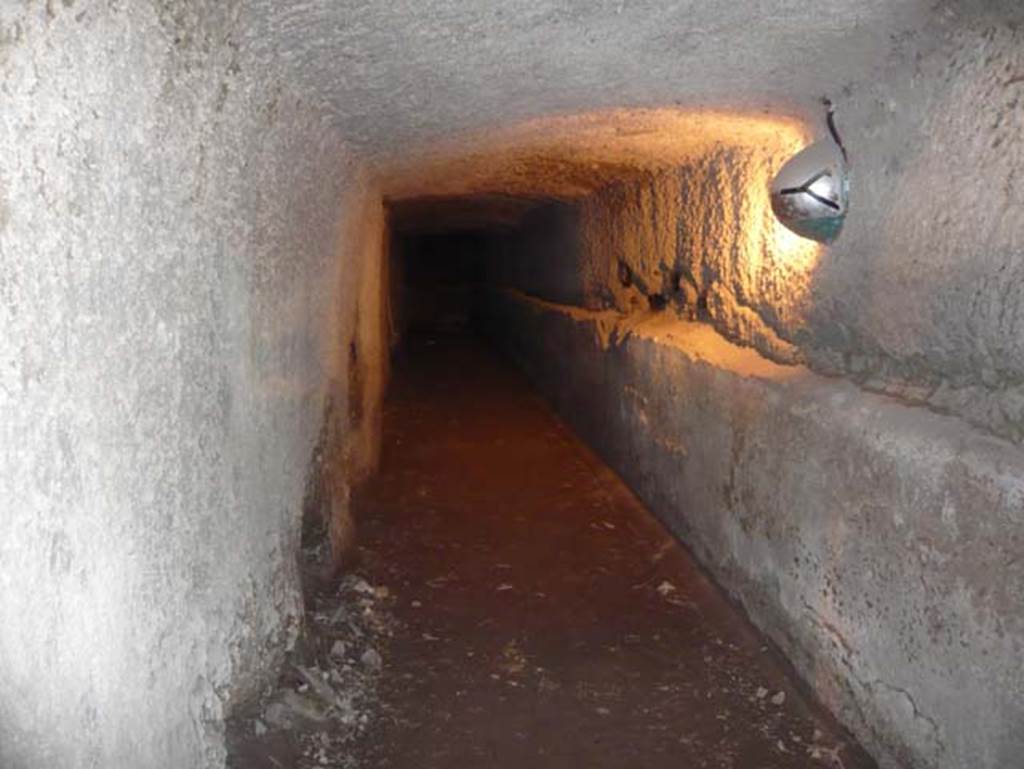 Ins. Orientalis II.4, Herculaneum, August 2013. Tunnels hewn out of the hardened alluvial debris. 
Photo courtesy of Buzz Ferebee.
