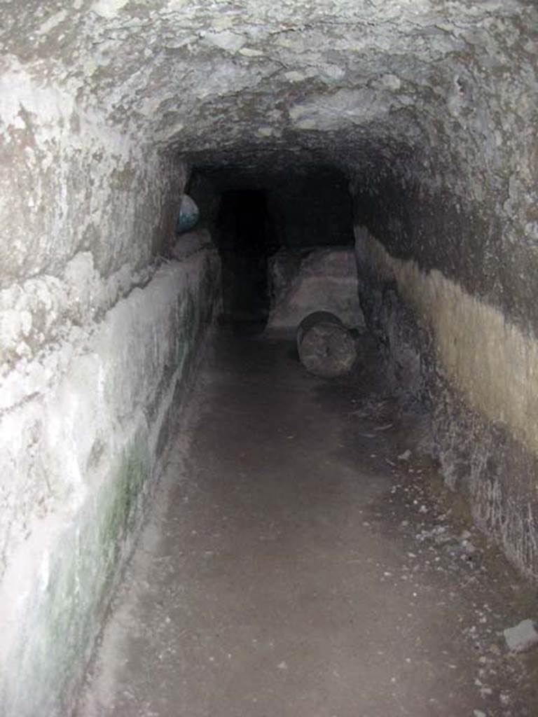 Ins. Orientalis II.4, Herculaneum, June 2011. Tunnels hewn out of the hardened alluvial debris. 
Photo courtesy of Sera Baker.

