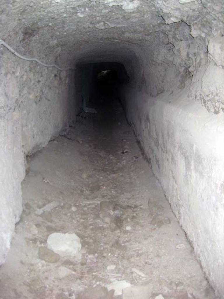 Ins. Orientalis II.4, Herculaneum, June 2011. Tunnels hewn out of the hardwned alluvial debris. 
Photo courtesy of Sera Baker.


