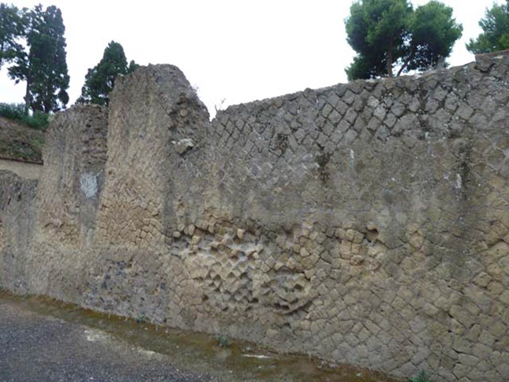 Ins. Orientalis II.4, Herculaneum, September 2015. South wall of large entrance hall. 