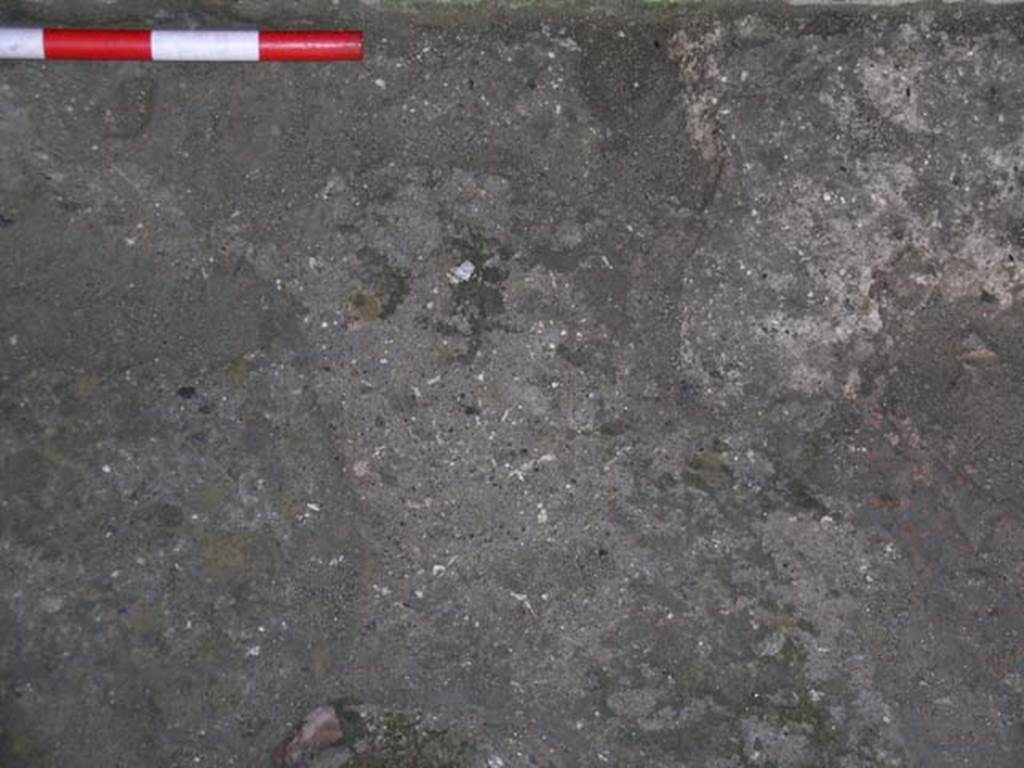 Ins Or II, 5, Herculaneum. May 2004. Detail of flooring near south wall of workshop room.
Photo courtesy of Nicolas Monteix.
