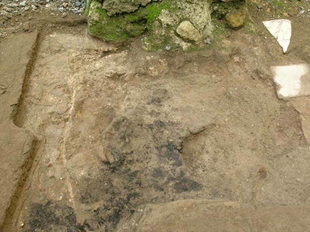 Ins Or II, 6, Herculaneum. December 2004. Detail of area of flooring at rear east end of south arm of counter. 
Photo courtesy of Nicolas Monteix.
