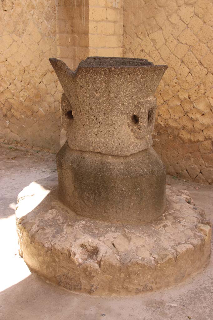 Ins. Or. II.8, Herculaneum, September 2019. Detail of mill in bakery. 
Photo courtesy of Klaus Heese.
