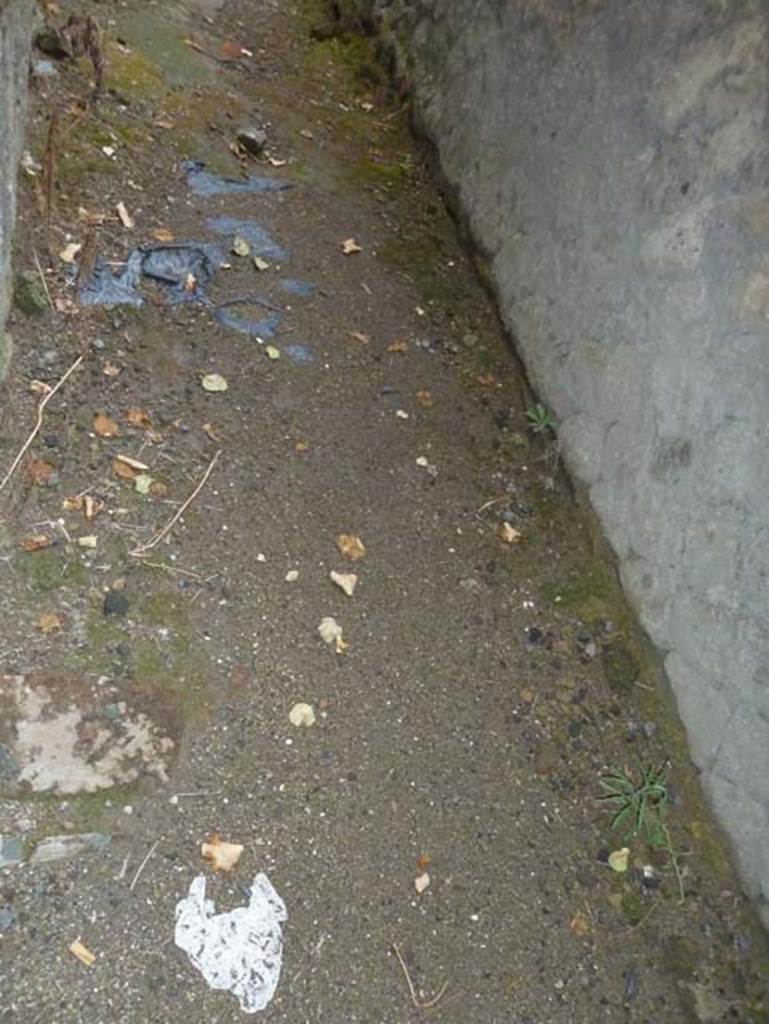 Ins. Orientalis II.7, Herculaneum. September 2015. Floor of room on the north side of II.7. 