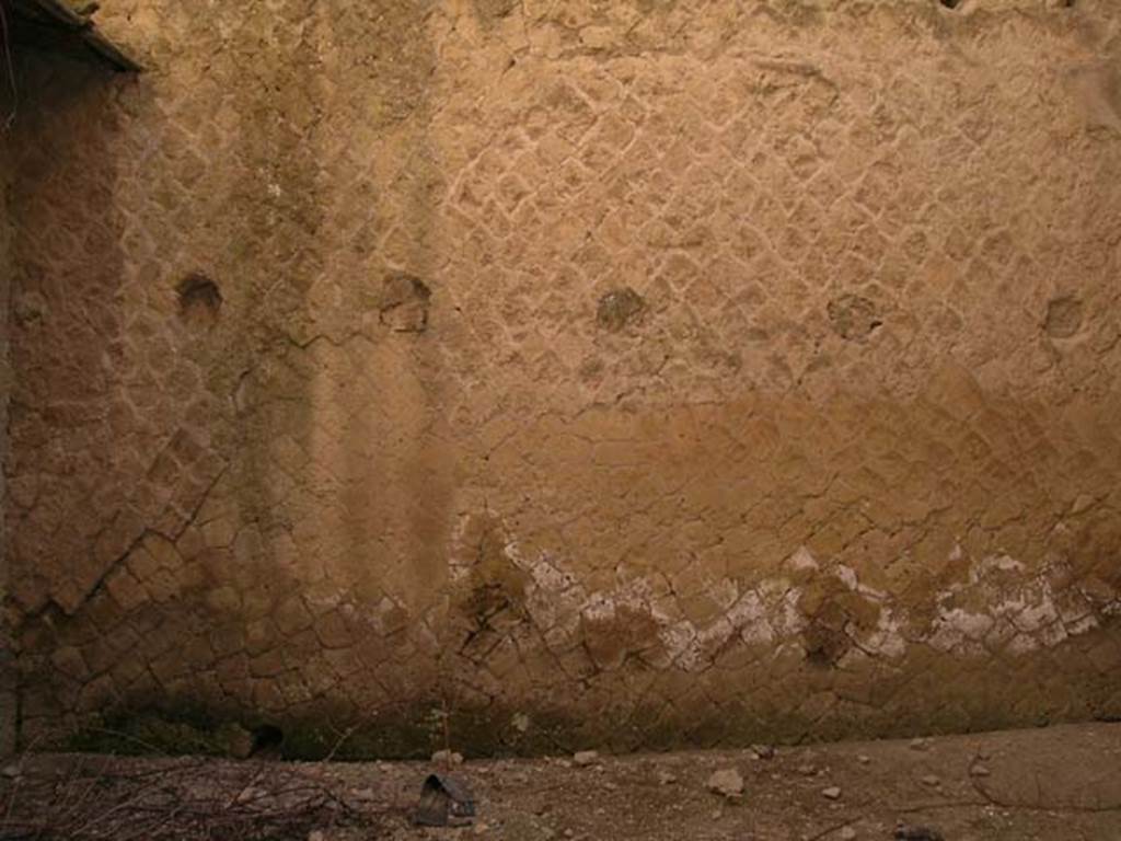 Ins Or II, 8, Herculaneum. May 2006. South wall in rear room. Photo courtesy of Nicolas Monteix.