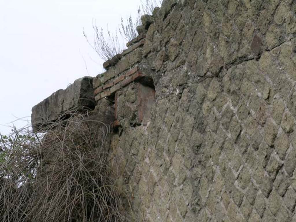 Ins. Or. II. 12, Herculaneum. December 2004. Looking towards upper north wall above latrine. Photo courtesy of Nicolas Monteix.