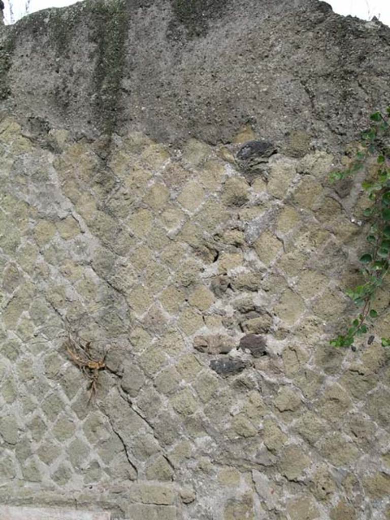 Ins Or II. 13, Herculaneum. December 2004. Detail of upper north wall above doorway to shop-room. 
Photo courtesy of Nicolas Monteix.
