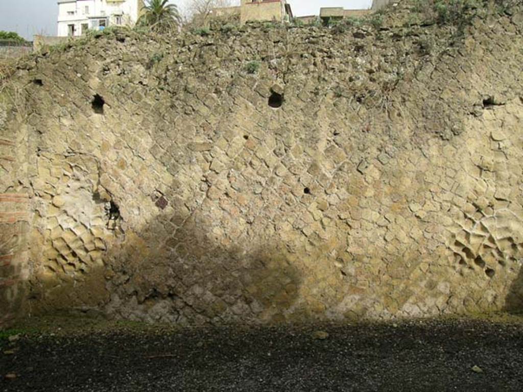 Ins. Or. II. 14, Herculaneum. December 2004. Looking towards west end of north wall. Photo courtesy of Nicolas Monteix.