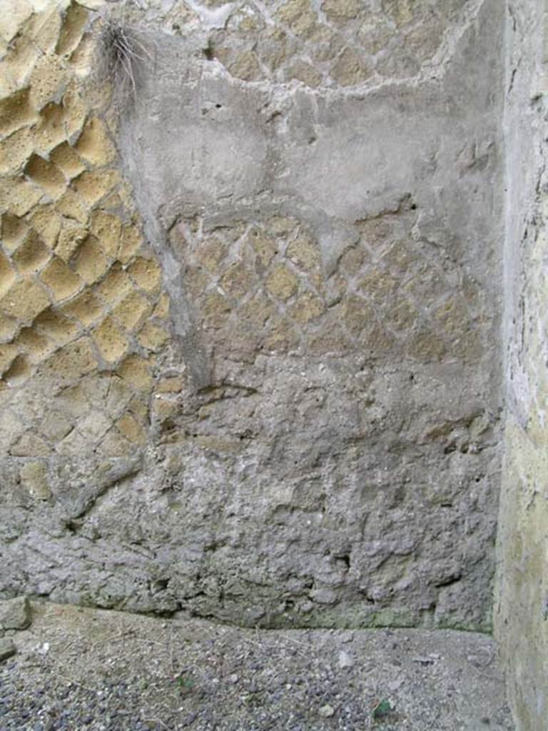 Ins Or II, 15, Herculaneum. May 2004. Detail from north wall of middle room in north-east corner.   
Photo courtesy of Nicolas Monteix.
