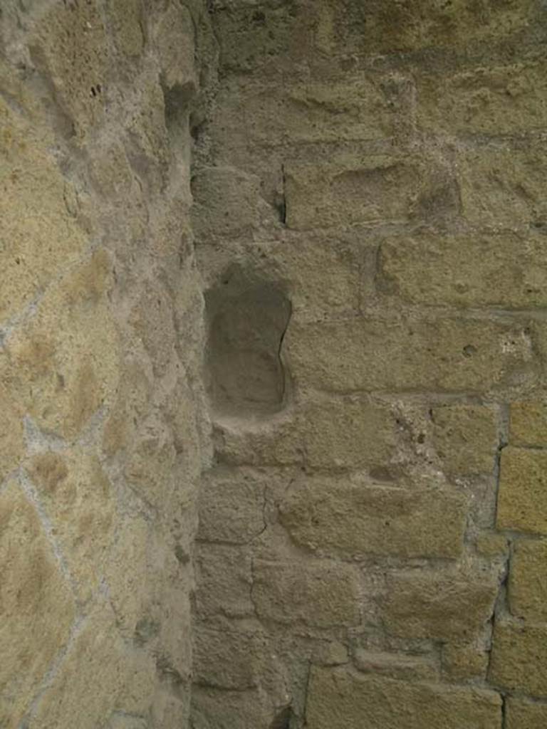 Ins Or II, 18, Herculaneum. June 2006. Detail from west wall at south end. 
Photo courtesy of Nicolas Monteix.
