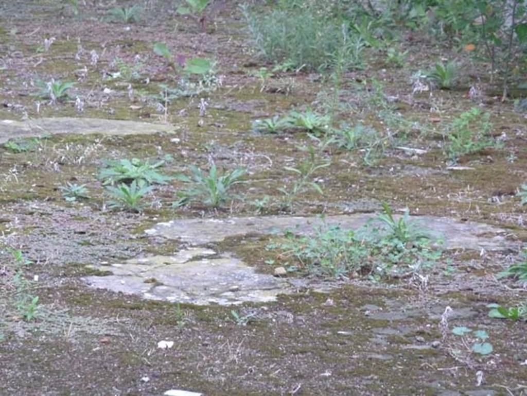 Ins. Orientalis II.19, Herculaneum. September 2015. Remains of flooring.