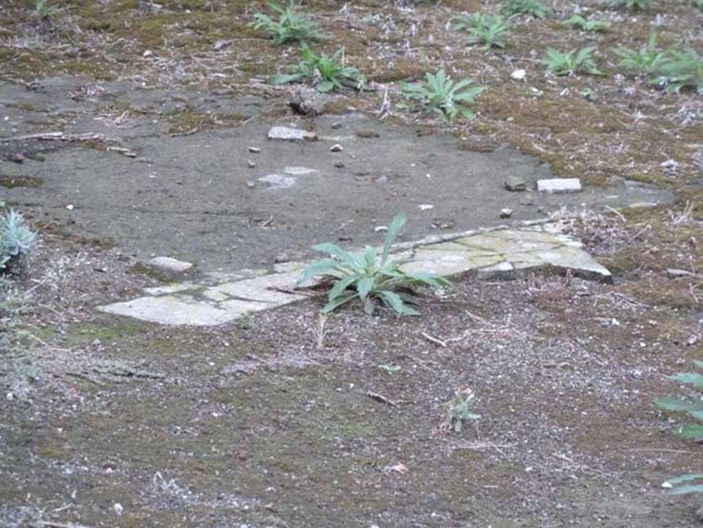 Ins. Orientalis II.19, Herculaneum. September 2015. Remains of flooring