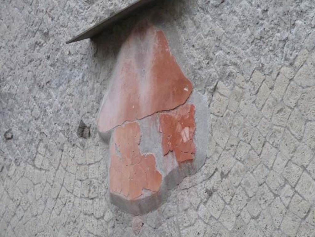 Ins. Orientalis II.19, Herculaneum. September 2015. Remains of painted decoration from south wall.