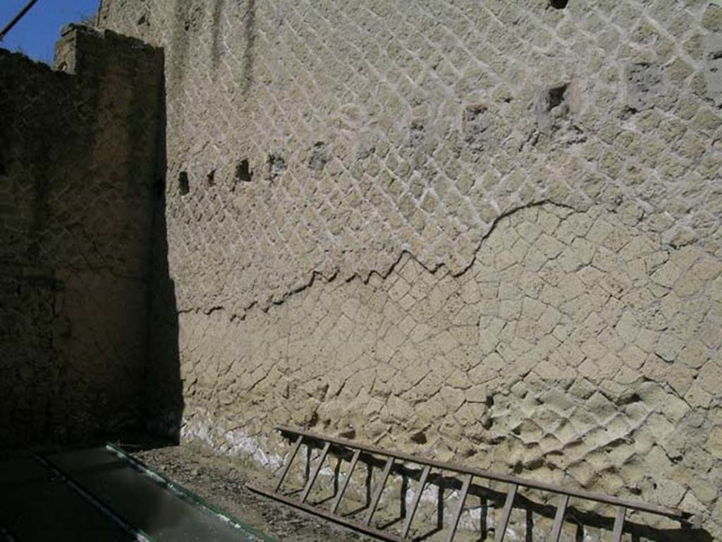 Ins Or II, 16/19 Herculaneum. May 2004. North wall of room at west end of loggia of Palaestra. 
Photo courtesy of Nicolas Monteix.

