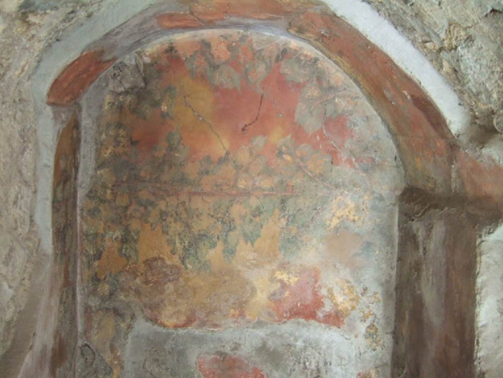 V.8 Herculaneum. May 2006. Area 4, detail of painted arched recess under the stairs.  
According to Maiuri, in the courtyard there is a flight of masonry stairs and a gallery with a parapet soberly painted. Under the staircase, on the ground wall there is a painting of a leafy vine-branch, giving the impression of a garden trellis in the open air.
See Maiuri, Amedeo, (1977). Herculaneum. 7th English ed, of Guide books to the Museums Galleries and Monuments of Italy, No.53 (p.45).
