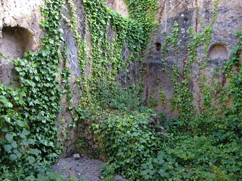 V.15, Herculaneum. May 2003. Kitchen, in south-east corner of garden area.
There is a niche on both the east and south walls.  Photo courtesy of Nicolas Monteix.
