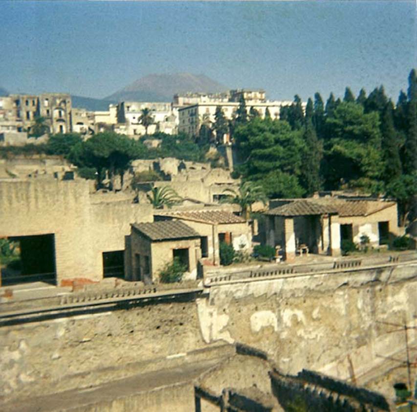 Herculaneum, 1978. Looking towards rear terrace of House of Mosaic Atrium, on left, and terrace of House of the Stags, on right.
Photo courtesy of Roberta Falanelli.
