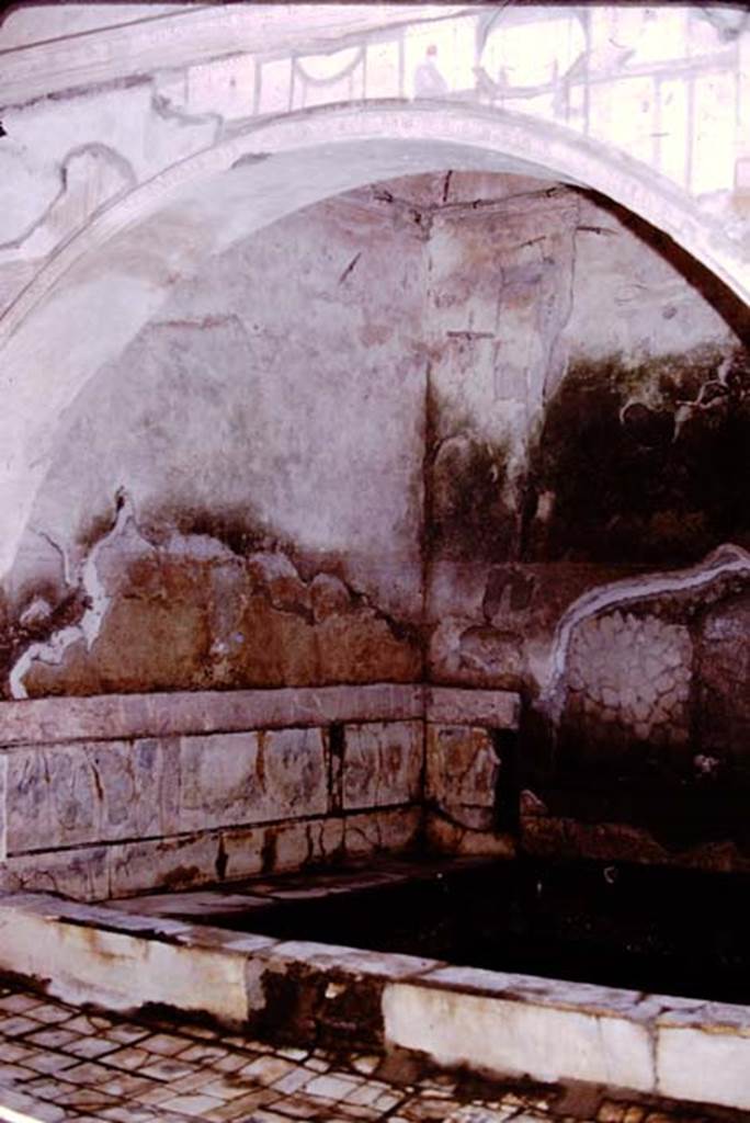 Suburban Baths, Herculaneum, 1975. Frigidarium. Photo by Stanley A. Jashemski.   
Source: The Wilhelmina and Stanley A. Jashemski archive in the University of Maryland Library, Special Collections (See collection page) and made available under the Creative Commons Attribution-Non Commercial License v.4. See Licence and use details. J75f0720
