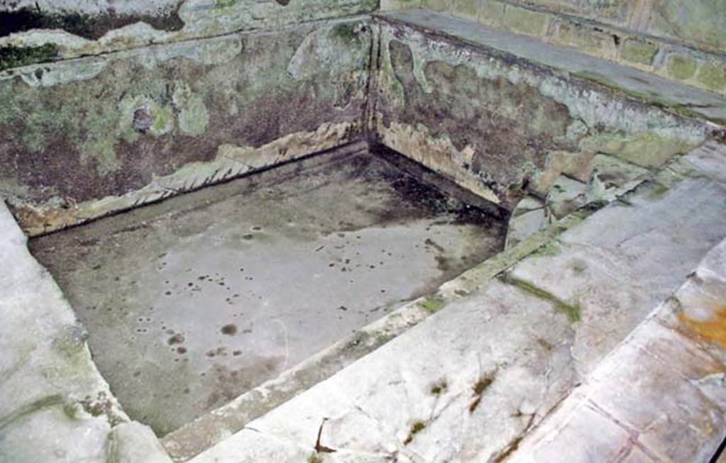 Suburban Baths, Herculaneum. October 2001. Cold bath in frigidarium. Photo courtesy of Peter Woods.
