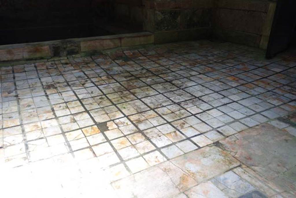 Suburban Baths, Herculaneum. June 2014. Flooring of frigidarium. Photo courtesy of Michael Binns.