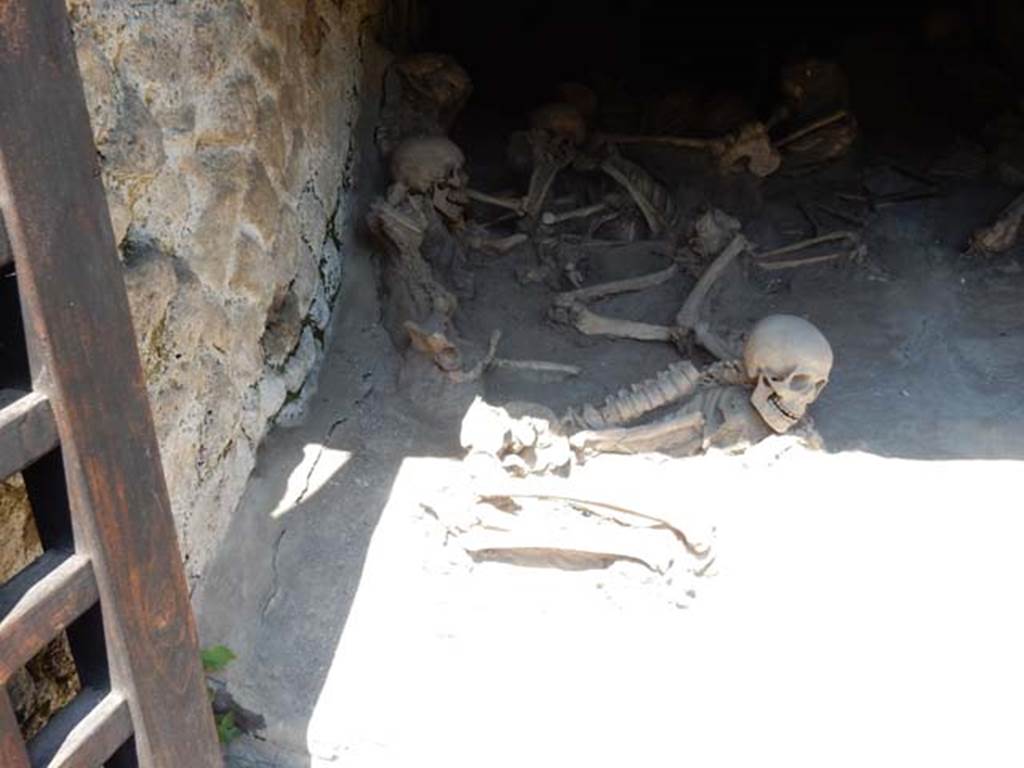 Beachfront, Herculaneum, May 2018. Detail from Boatshed 3, on west side (left). Photo courtesy of Buzz Ferebee.