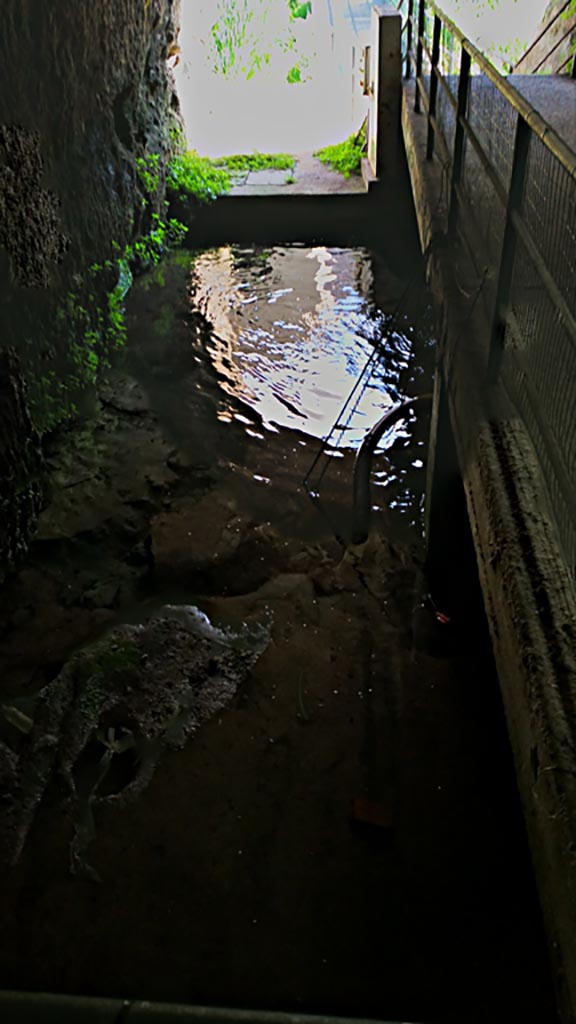 Herculaneum. Photo taken between October 2014 and November 2019.
Water below the beachfront. Photo courtesy of Giuseppe Ciaramella.
