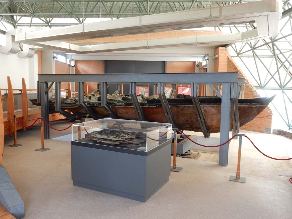 Herculaneum, June 2019. Looking towards the boat in its support frame. Photo courtesy of Buzz Ferebee.
According to the information card –
“One of the most important discoveries on the ancient shoreline happened on 3rd August 1982, when the keel of a boat overturned by the force of the eruption began to emerge from the volcanic material in front of the Suburban Baths.
It lay on top of a debris layer made up of beams, pieces of wood, roof tiles and building materials that had been carried by the first volcanic flow from the city’s rooftops onto the beach below.
Later a faster and more destructive pyroclastic flow came into contact with the sea, creating eddies and seismic sea waves that knocked the boat over, hurling it onto the beach. During this event the boat was damaged by the large roof and floor beams from Herculaneum’s houses, which smashed the keel and bent the planking, ending up wedged there,
The boat was then buried by the subsequent pyroclastic flows and remained sealed in the volcanic material which quickly hardened, and as this kept out oxygen, the wood was preserved.”
