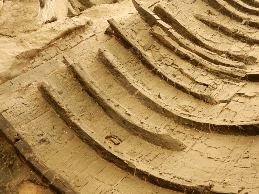 Herculaneum, June 2019. Detail. Photo courtesy of Buzz Ferebee.