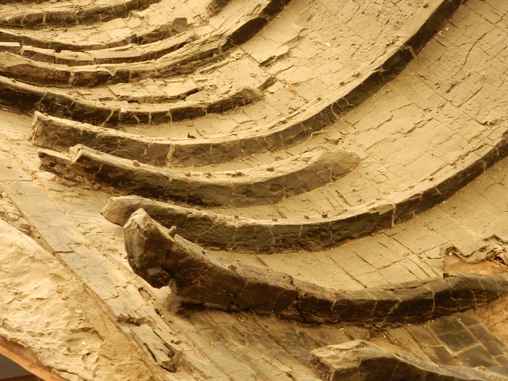 Herculaneum, June 2019. Detail. Photo courtesy of Buzz Ferebee.