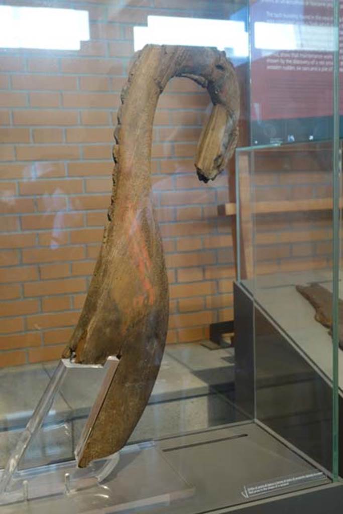 Herculaneum, June 2014. Red prow of a boat in the shape of a serpent’s head.
Photo courtesy of Michael Binns.

